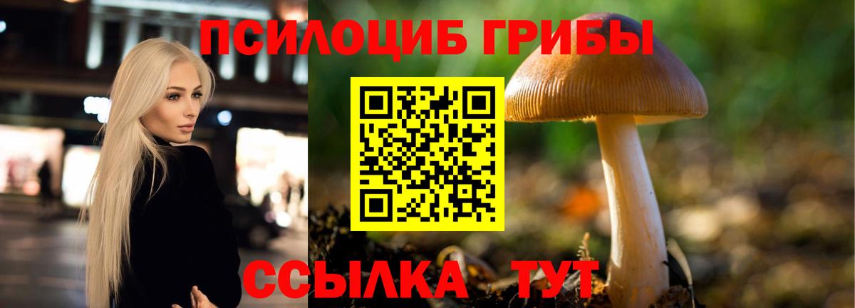 Галлюциногенные грибы мицелий  Псилоцибиновые грибы GOLDEN TEACHER  Вход с VPN  Боровичи 