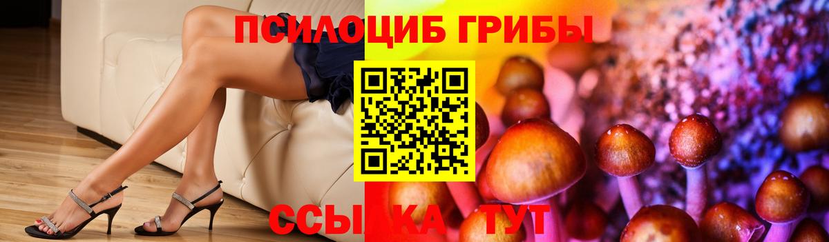 Галлюциногенные грибы мицелий Боровичи